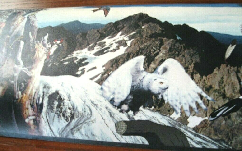 Picture 5 of 5