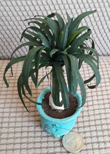 Dollhouse Miniature Artisan Ponytail Elephant Foot Palm Floor Plant Fairy Garden - Picture 6 of 9