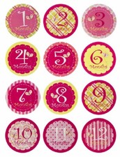Evergreen 7BS012 Blossoms and Buds Pink My First Year Monthly Belly Stickers