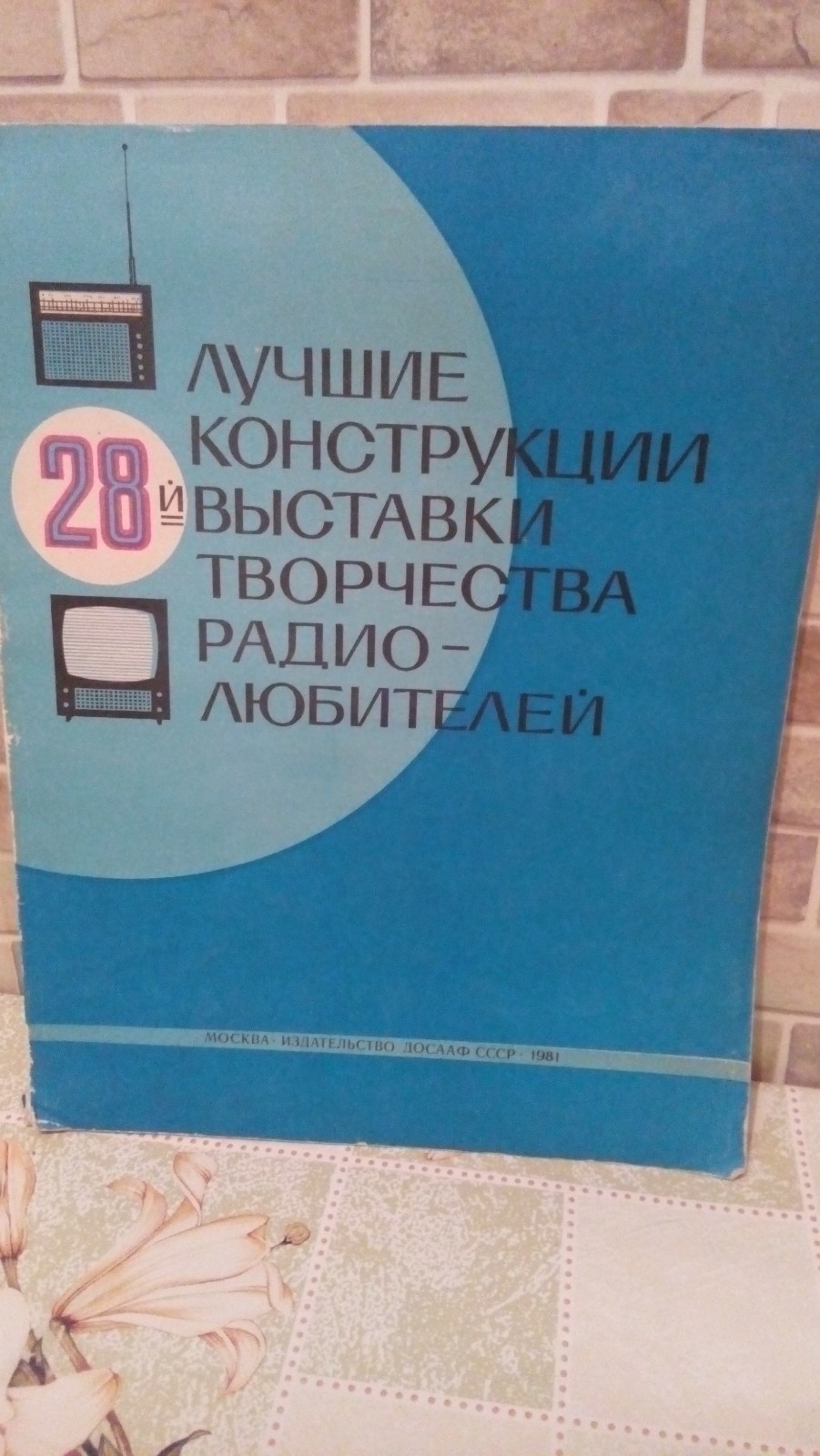 Zdjęcie 10 z 10