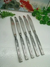 5    Deluxe Oneida Distinction   CAPRI   Stainless Steel  Dinner Knives