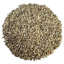 Organic Rye Berries 5 lbs - Non-GMO, Kosher, Raw Whole Grain, Bulk Seeds - USA