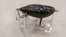 Squid Pine Abenda Crawler
