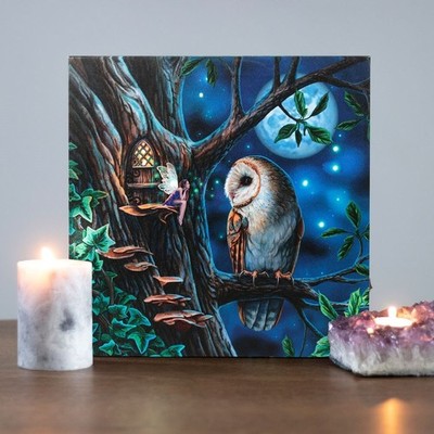 Lisa Parker Märchen Eule & Vollmond Design beleuchtet Leinwand Bild Plakette