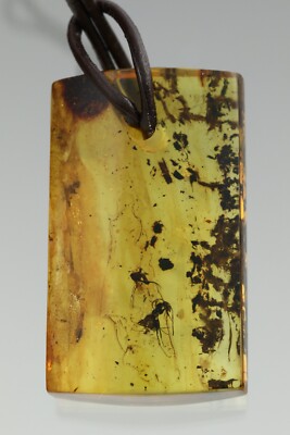 Large ANT & FLY Fossil BALTIC AMBER Leather String Silver Pendant 13g 00909-21