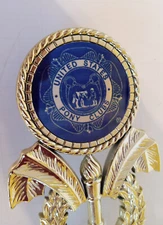 USPC United States Pony Club Equestrian Horse Show Awards Trophy 10.5" tall