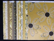 HEIDI GRACE "WILD DAISY RD." 12X12 SS SHIMMERY, LACQUERED & DS HEAVY PAPER