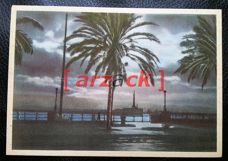Picture 1 of 1