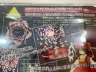 Foto 12 di 20