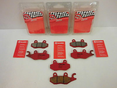 Bremsscheibe Mit Bremsbelag-Set Hinten Für Yamaha XTZ 750 Super Tenere (Baujahr 1989-1991) – Sport-Design, Gelocht