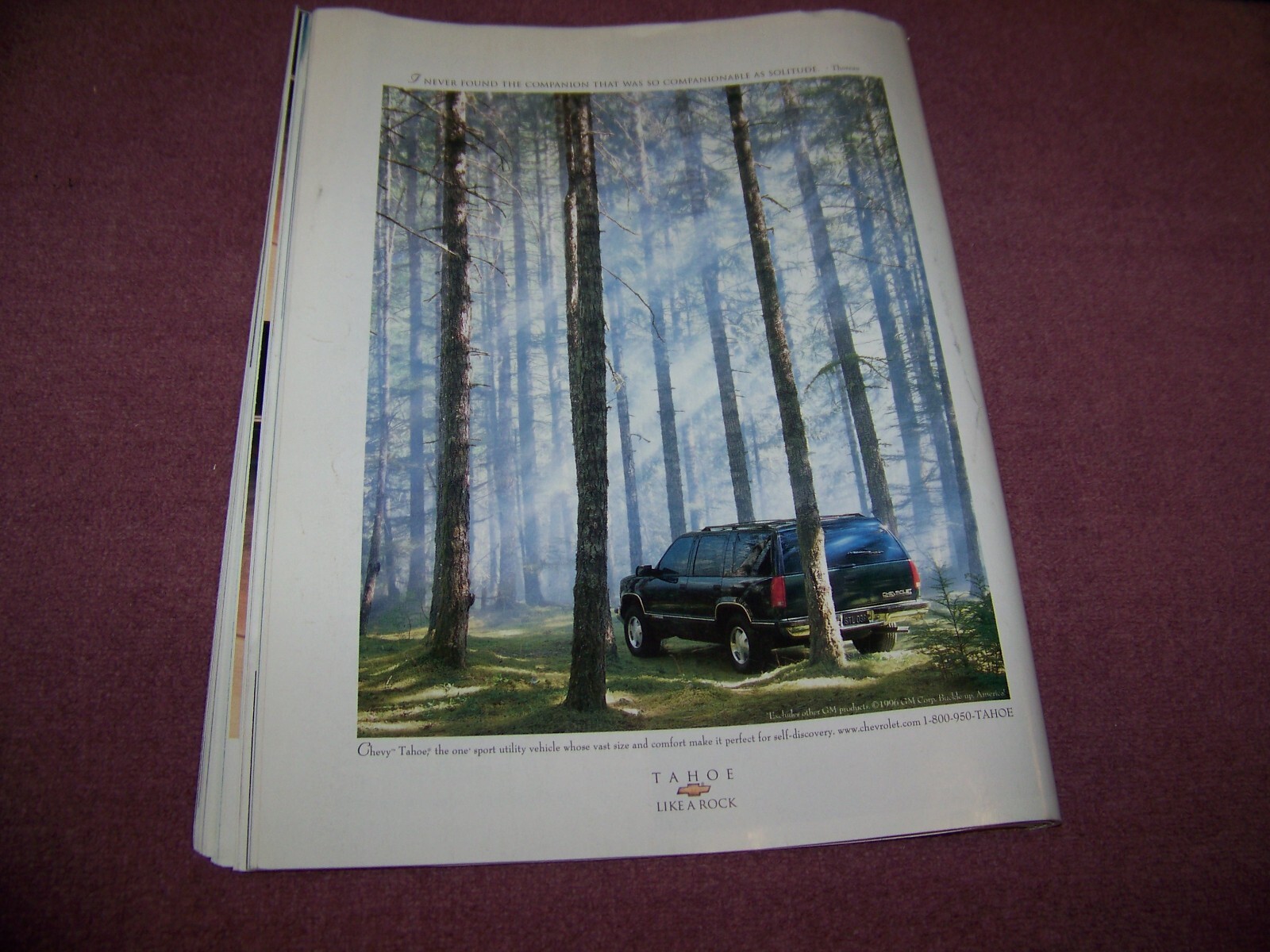 Picture 10 of 10