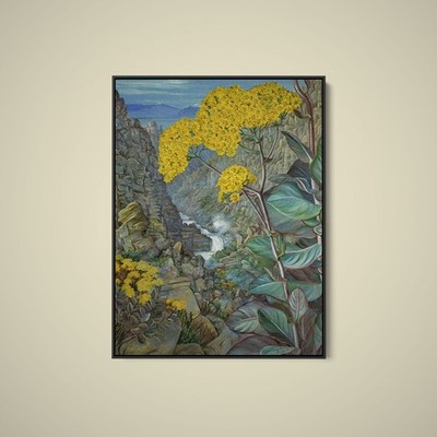 Marianne North - Cabbage Plant at Valley of Ceres - Art Print on Paper or Canvas