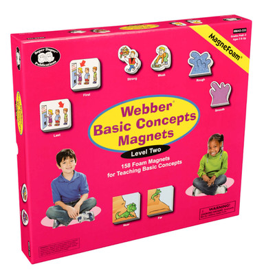Webber Basic Concepts MagneFoam: Level 2