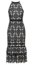 NWT Banana Republic Black Gray Lace Floral Woman’s Cocktail Evening Dress Sz 4P