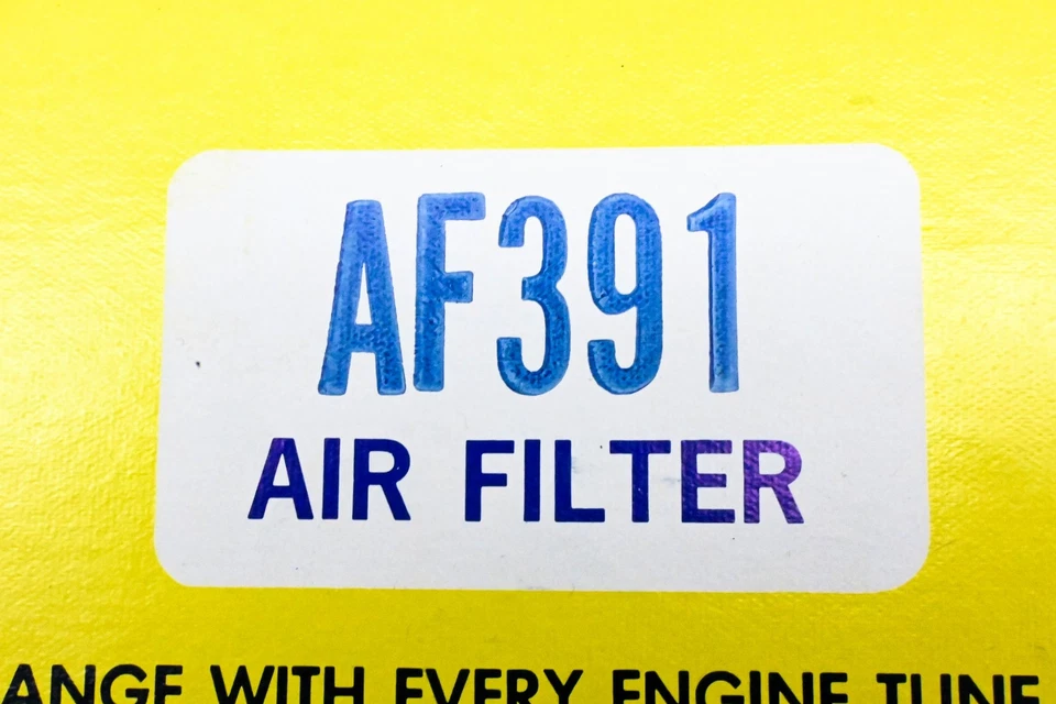 Filtro de aire Hastings AF391 NUEVO DE STOCK Foto 3 de 3