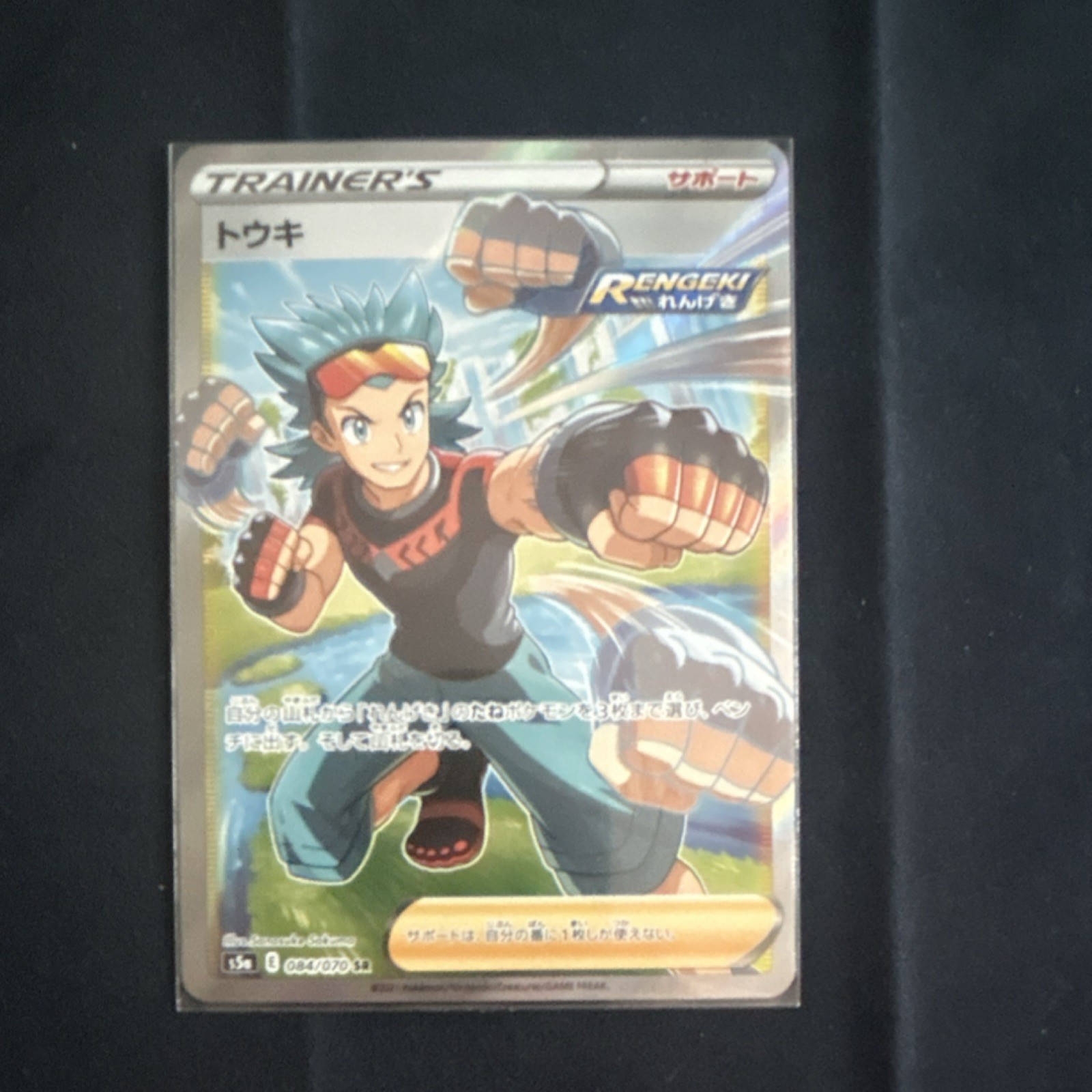 Pokémon Brawly Trainer-Supporter Full Art Holo Peerless Fighters S5a 084/070 Ja…
