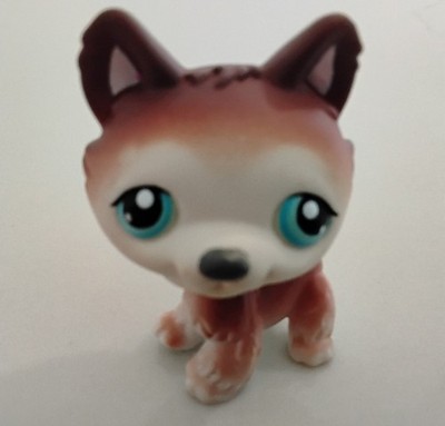 Littlest Pet Shop LPS #68 HUSKY Dog -Brown & White/Blue Dot Eyes