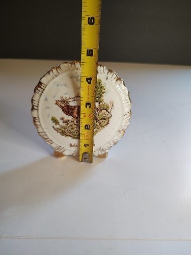 Isle Of Skye Skye Wool Mills Liverpool Rd Pottery Ltd Bone China. England - Picture 6 of 9