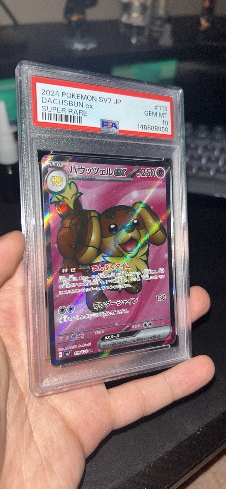 PSA 10 2024 Pokémon Japanese Dachsbun ex SV7 #119 Super Rare GEM MT Pokémon Card