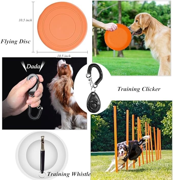 Kit De Entrenamiento Para Perros 12 Piezas De Aluminio Para