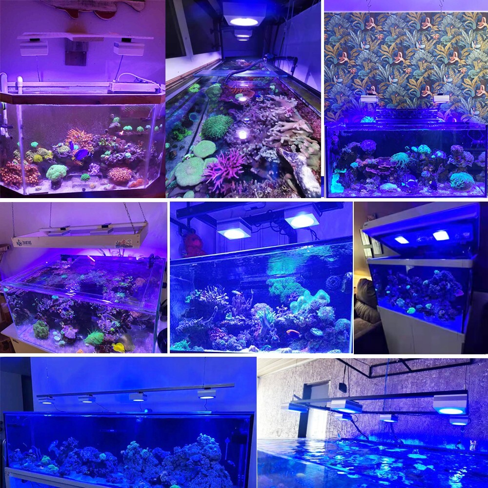 4PCS PopBloom Marine Led Aquarium Light 72