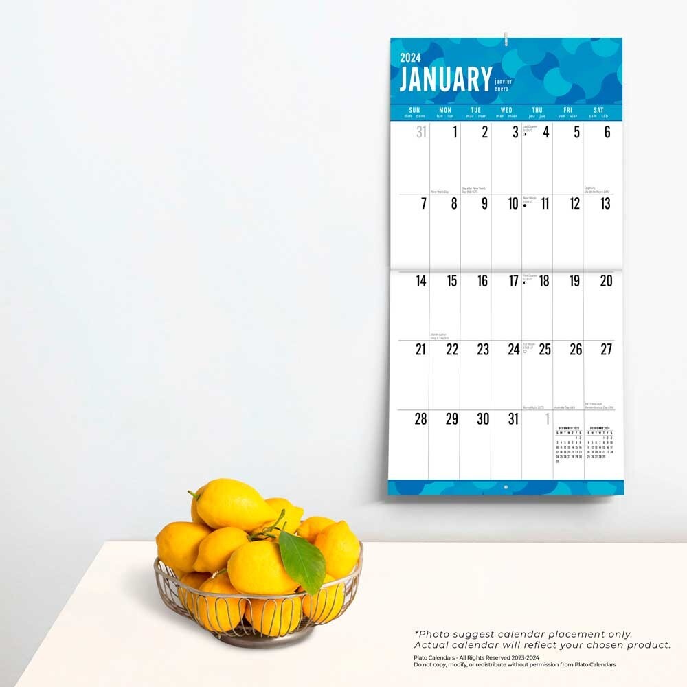 Large Print 2024 12x24" 18 Months Wall Calendar | Jul '23-Dec '24 | Matte  Paper | eBay