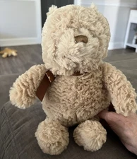 Disney Baby Kids Preferred Winnie The Pooh Plush Stuffed Animal 13" Bear