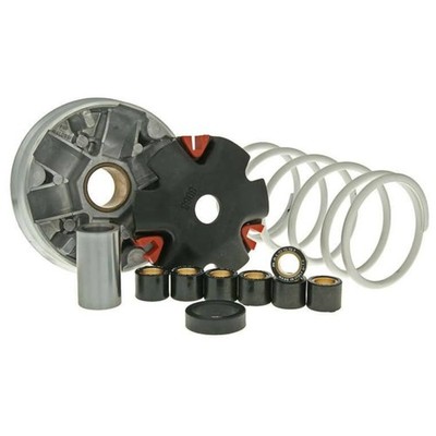Variator Hochwertige Malossi Multivar Variomatik für Kymco, SYM, Honda Dio Fiddl