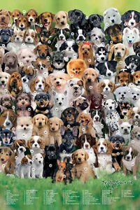 Dog Breed Chart With Names