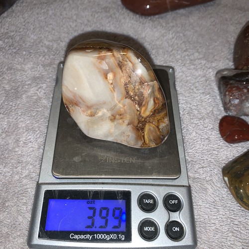 Super Sweet PNW Agatize Petrified Wood Nice polished Whole 3.99 Oz - Picture 5 of 5