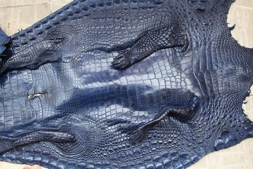 W 1.5" No Jointed - Gray Real Croco Belly Leather Skin Men's Belt #G46 - Imagen 16 de 16