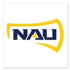 Northern Arizona Lumberjacks Temporary Tattoo - 4 Pack