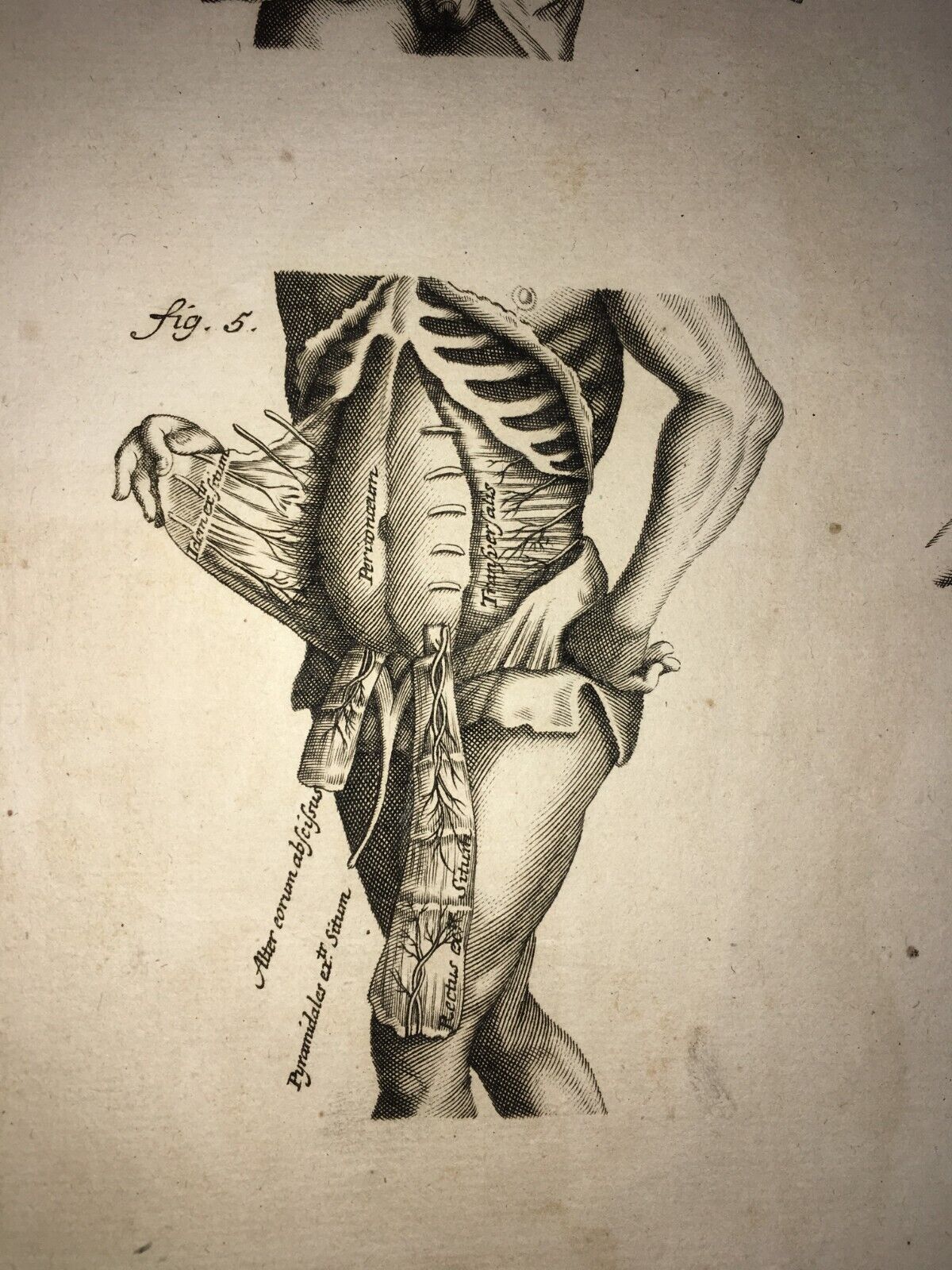 Foto 3 di 9