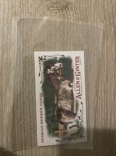 2017 Topps Allen & Ginter Horse in the Race Mini Arabian Berber Horse #HR-19