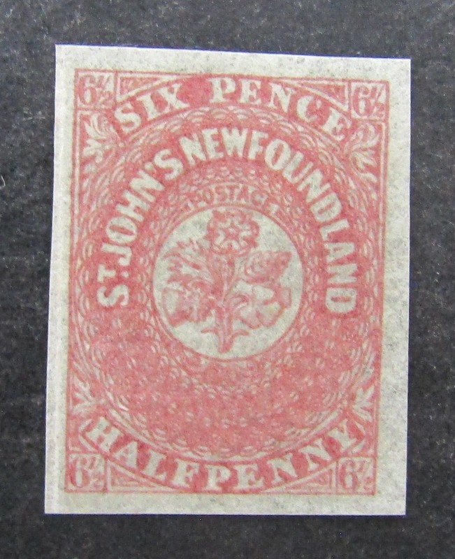 nystamps Canada NewFoundland Stamp # 21 Mint OG H UN$120 VF             L10x308
