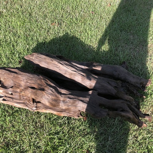 Xtra Large Driftwood Beautiful Aquarium Decor 38x18x10 Real Wood Holes Terrarium - Picture 23 of 23