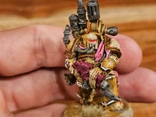 Warhammer 40k 40,000 Death Guard Dark Imperium Plague Marine OOP Painted MF370
