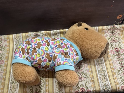 Pijama para dormir Build A Bear Workshop Capibara 14" felpa a juego Capibara - Imagen 9 de 14