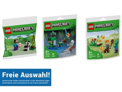 LEGO  Minecraft Polybags - 30672 / 30705 / 30732 kombinieren & sparen + NEU +