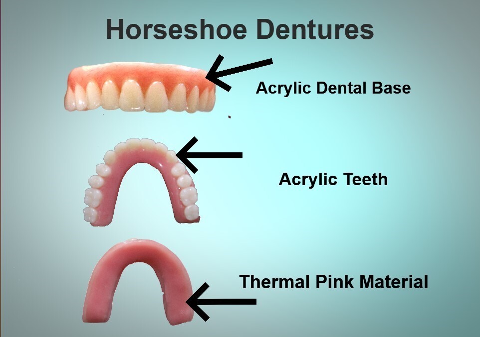 Denture Horseshoe UPPER Temporary Dentures / DIY Denture / SMALL eBay
