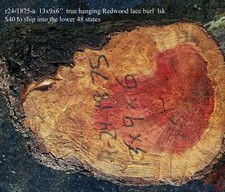 Redwood Lace Burl Cap  Turning block  Craft Wood  R24-1875