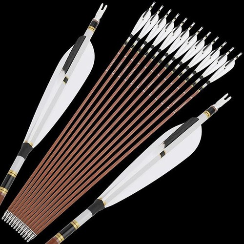 12x 31'' Bogenschießen Pure Carbon Pfeil SP340-600 3 Stück 5'' Türkei Feder Schießen - Bild 3 von 9