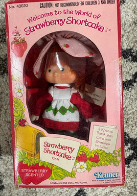 Vintage Kenner 1980 Strawberry Shortcake Doll Original Factory Sealed 43020