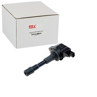 Nty ZÜNdspule Passend FüR Honda Insight Jazz | ECZ-HD-024