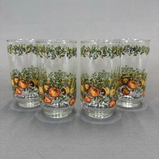 Libbey Bonne Sante Corelle Spice of Life Glasses 12 oz Tumblers 5" Set of 4