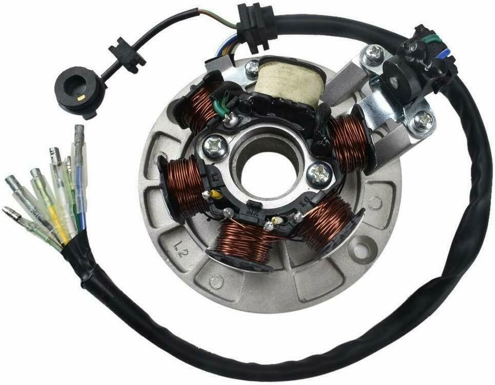 ビタロー 6 Coil Magneto Stator For 125cc 140cc Apollo SSR SDG YX
