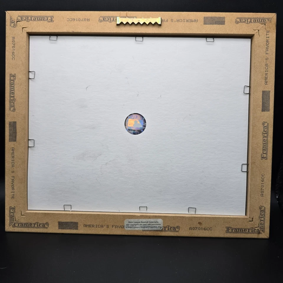 Placa de pared Detroit Tigers Comerica Park 0147/2500 edición limitada Highland como nueva Foto 3 de 4