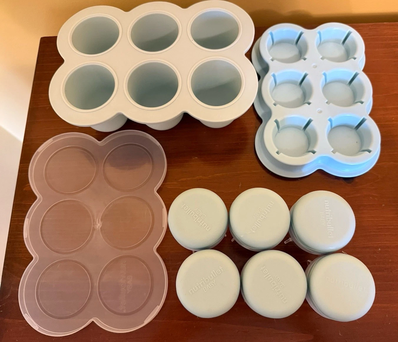 Nutribullet Baby Bullet Food Storage Containers 6 Jars Date Dial Tray Aqua Blue