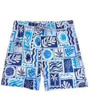 Vintage Summer 4-Way Stretch Volley Swim Trunk Men's Blue S