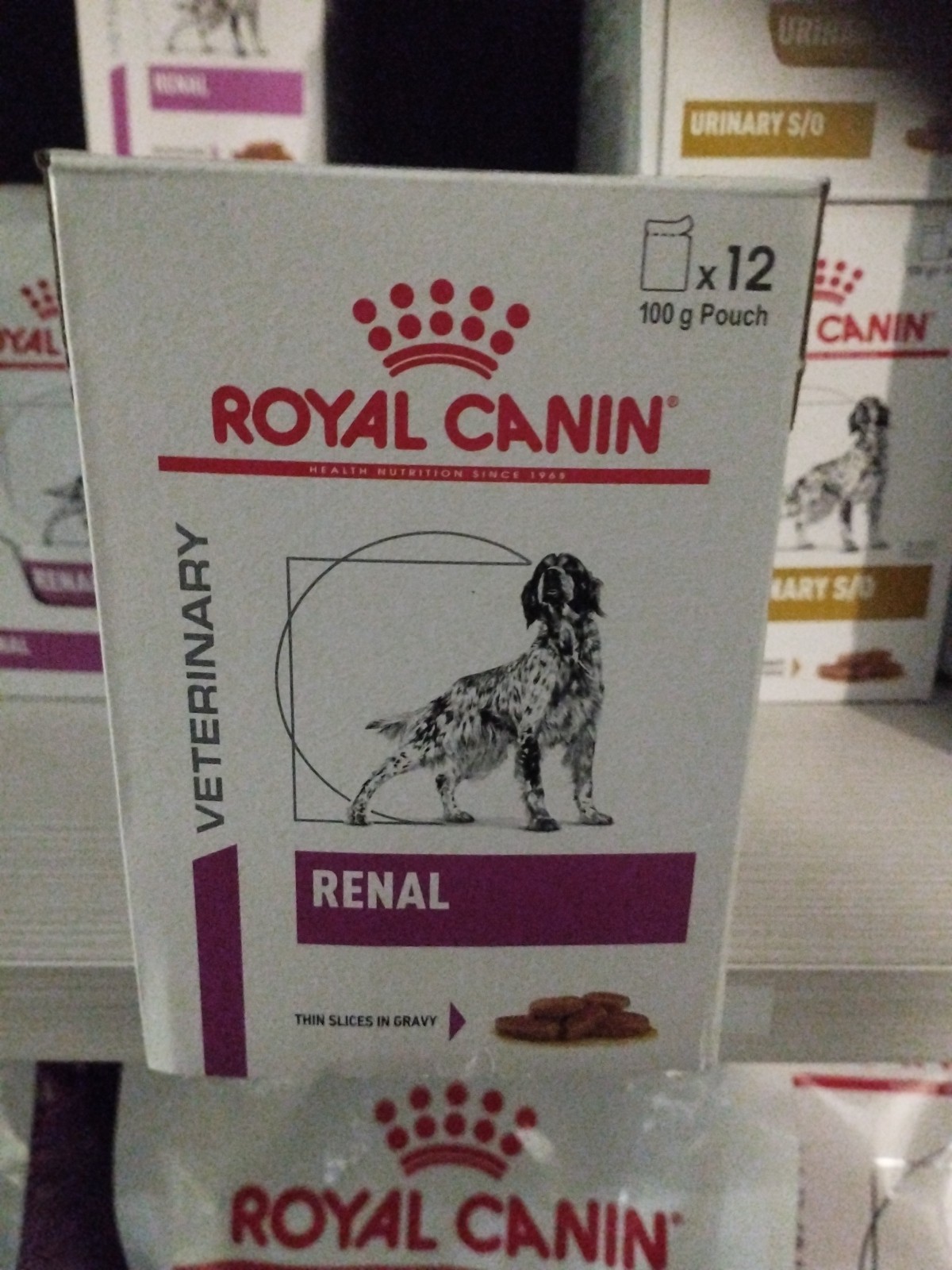12 x 100 Royal Canin V-Diet Renal Umido per Cani Adulti con insufficienza renale